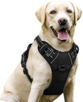 rabbitgoo Dog Harness, No Pull for Large Dogs with 2 Leash Clips, Pet Vest | No Choke with Handle, Adjustable Soft Padded, Reflective, Easy Control for Walking, Black, Large by rabbitgoo