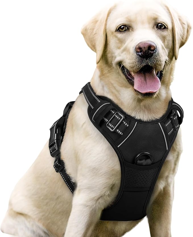 rabbitgoo Dog Harness, No Pull for Large Dogs with 2 Leash Clips, Pet Vest | No Choke with Handle, Adjustable Soft Padded, Reflective, Easy Control for Walking, Black, Large by rabbitgoo