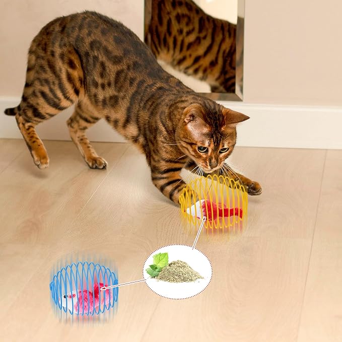 Jecery 5 Pcs Cat Toys Spring,Catnip Rats,Bright Color | Interactive Metal Cat Toy, Stretchable Rolling Ball, for Indoor Cats, Colorful Playful Coils, Kitten Pet Supplies - Image 7