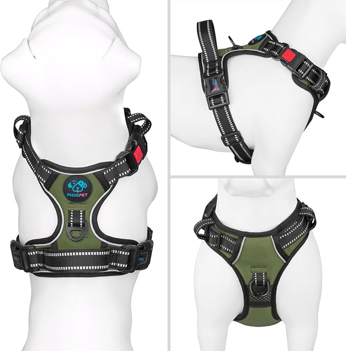 No Pull Dog Harness with Handle Front & Back Clip, Easy on | Lockable Snap Buckle at Neck, Adjustable Reflective Vest with Handle for Small Medium Large Dogs (L, Misty Green) - Image 2