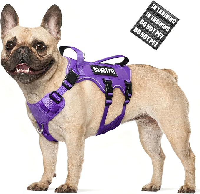 WINSEE Escape Proof Dog Harness with Double Handle+4 Removable Patches | Service Working Molle Harness with Double Handle for Medium Dogs, Tactical Pet Reflective Vest for Walking Hiking Hunting by WINSEE