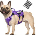 WINSEE Escape Proof Dog Harness with Double Handle+4 Removable Patches | Service Working Molle Harness with Double Handle for Medium Dogs, Tactical Pet Reflective Vest for Walking Hiking Hunting by WINSEE