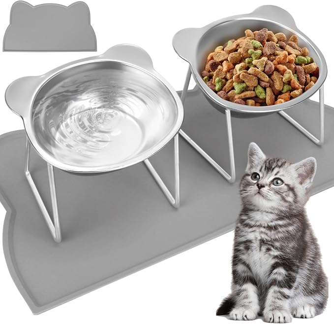 Elevated Cat Bowls, 2 Pack Raised Cat Food Water Bowls with Non-Slip Placemat, 15° Tilted Stand Anti Vomiting Stainless Steel Pet Food Feeding Dishes Plate for Cats Kitten Puppies Dogs Small Animals by QualityisOurCulture