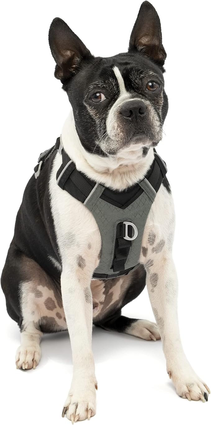 Kurgo Journey Air Dog Harness, Black, Extra Small | Padded Chest, Ripstop Outer & Breathable Mesh, Back Assist Handle, Rust-Free Aluminum Hardware, Reflective Trim by Kurgo