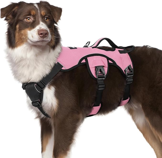 rabbitgoo Escape Proof Dog Harness for Medium, No Pull with Lift Handle | No Escape, Full Soft Padded, Reflective Adjustable Vest, Leash Clip for Walking Hiking Training, Pink, Medium by rabbitgoo