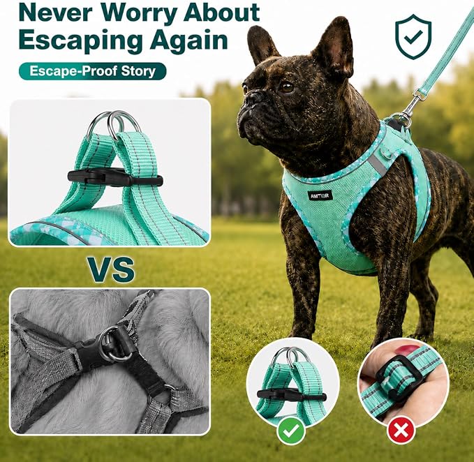 AMTOR Small Dog Harness with Leash Set, No Escape Easy Walk Puppy Harnesses for Training Walking, Step-in Reflective Soft Dogs Vest for XS S Medium Extra-Small Large Sized Dog (Light Green,S) - Image 5