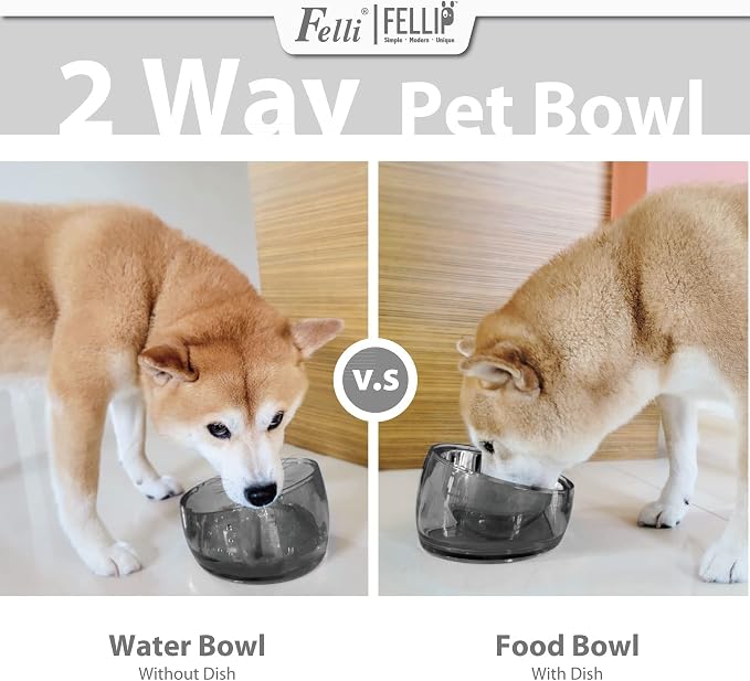 Felli Pet Oblik Acrylic Raised Dog Food Water Bowl Stainless Steel Slanted Oval Dish for Short Leg Puppy & Small Medium Pet, Elevated Tilted Metal Feeder (Smoky, 1.5 Cups Oval Dish) - Image 8