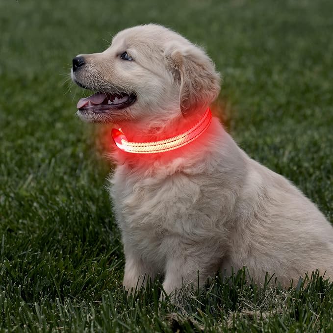 Light Up Dog Collar for Small Dogs - Rechargeable LED Cat Collar, Adjustable Reflective Puppy Collar Glowing Safety Dog Lights for Night Walking (Red) - Image 6