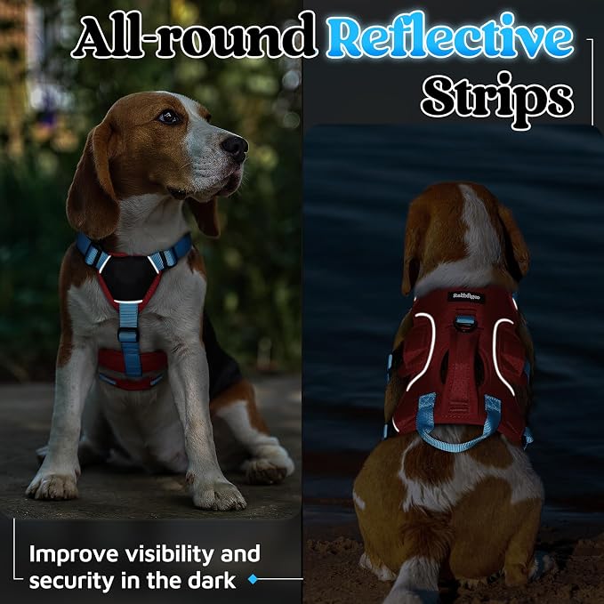 rabbitgoo Escape Proof Dog Harness for Small, No Pull with Lift Handle | No Escape, Full Soft Padded, Reflective Adjustable Vest, Leash Clip for Walking Hiking Training, Sky Blue & Red, Small - Image 8