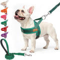 BEAUTYZOO Dog Harness Medium Sized and Leash Set, No Pull Step in Pet Vest | Breathable Mesh with Handle, Reflective, Adjustable No Choke Escape Proof, Lightweight, Easy Control for Walking, Green M by BEAUTYZOO