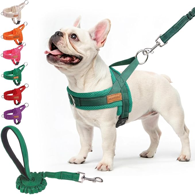 BEAUTYZOO Dog Harness Medium Sized and Leash Set, No Pull Step in Pet Vest | Breathable Mesh with Handle, Reflective, Adjustable No Choke Escape Proof, Lightweight, Easy Control for Walking, Green M by BEAUTYZOO
