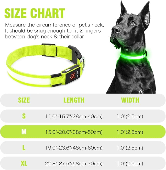 Illumifun LED Dog Collar, USB Rechargeable Light Up Dog Collar Glow in the Dark (Green, Medium) - Image 5