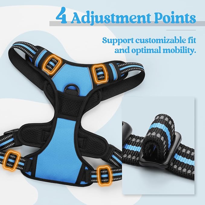 rabbitgoo Dog Harness, No Pull for Large Dogs with 2 Leash Clips, Pet Vest | No Choke with Handle, Adjustable Soft Padded, Reflective, Easy Control for Walking, Blue, X-Large - Image 4