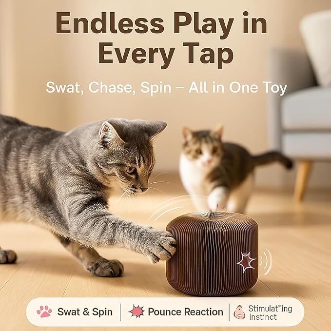Interactive Cat Toy, Kitty Curls Cat Scratcher, Twisty Paws Cat Scratching Post, Kitty Kurls Magic Organ Cat Scratch Pad with Ball Toy for Indoor Cats, Kitty kurlz Modern Cat Scratching Board - Image 7