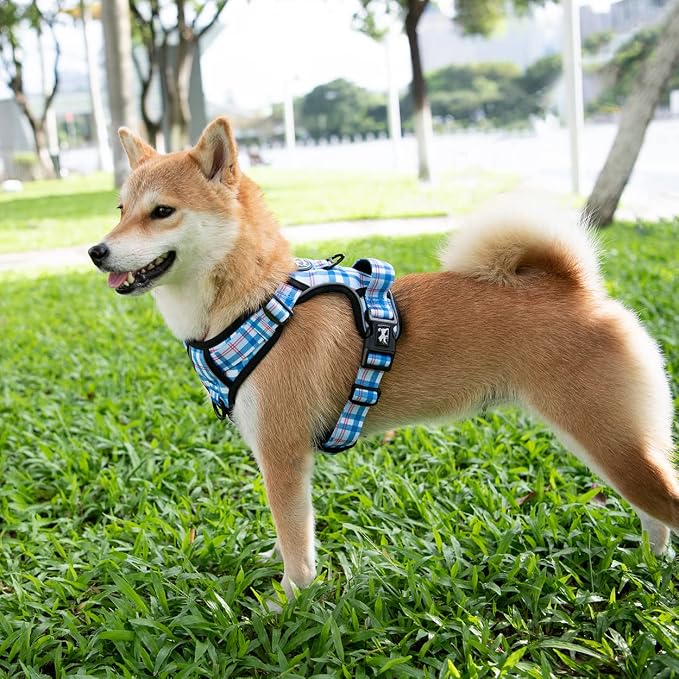 PoyPet Plaid Dog Harness Medium, No Pull Vest with Front Clip & Neck Buckle | Padded Handle, Reflective, No Choke, Lockable, 2 Leash Rings, Full Adjustable, for Training Walking, M, Checkered Blue - Image 2