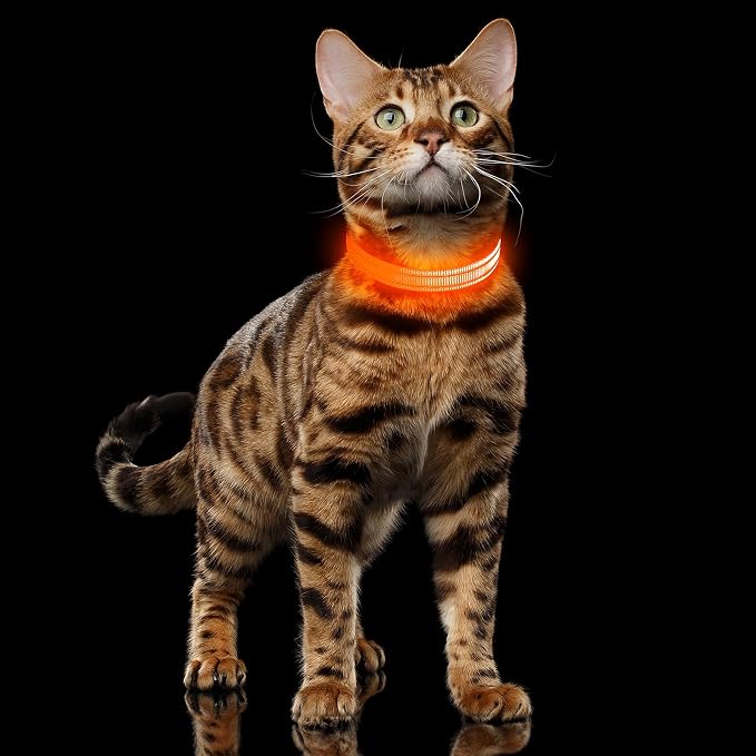 Illumifun Light Up Dog Collar for Small Dogs Cats, Rechargeable LED Dog Collar Glow at Night, Adjustable Nylon LED Cat Collar Light (Orange, X-Small) - Image 5
