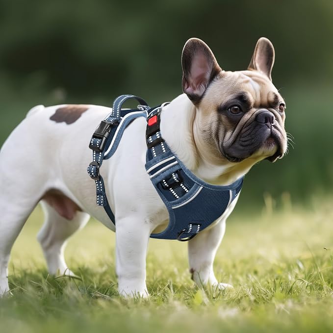 Timos Dog Harness Medium Sized, Quick Release 3 Buckles, Royal Blue, M | Reflective No Pull No Choke, Easy On & Off, Adjustable Soft Padded, Front & Back 2 Clips and Control Handle for Walking - Image 6