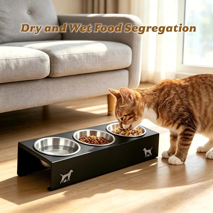 Elevated Cat Food Bowls [3 Pack] - 15° Tilted Stainless Steel, Anti-Vomit Raised Pet Feeder with Non-Slip Base, Ergonomic Whisker-Friendly Bowl Set for Indoor Cats & Kittens - Image 3