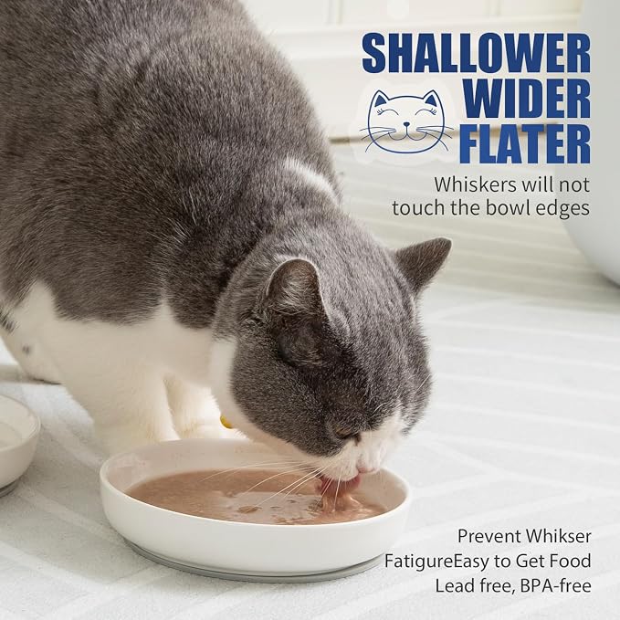 Lusifaco Shallow Wide Cat Food Bowls Anti Whisker Fatigue (Blue, 3 Pack) | 5.9 Inch 2 Height Raised Ceramic Cat Dishes with Bamboo Stand, Flat Pet Water Food Plates Feeding Station for Indoor Kitten - Image 9