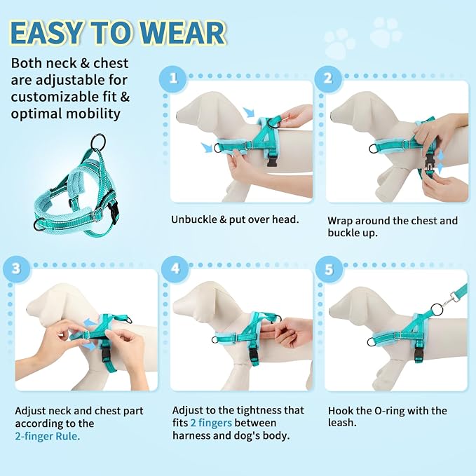 SlowTon No Pull Small Dog Harness and Leash Set with Front Clip | Soft Padded, Neck & Chest Adjustable, Lightweight, Anti-Twist, Puppy Vest Harness Pet Lead Combo for Small Medium Dog, TL XXS - Image 9
