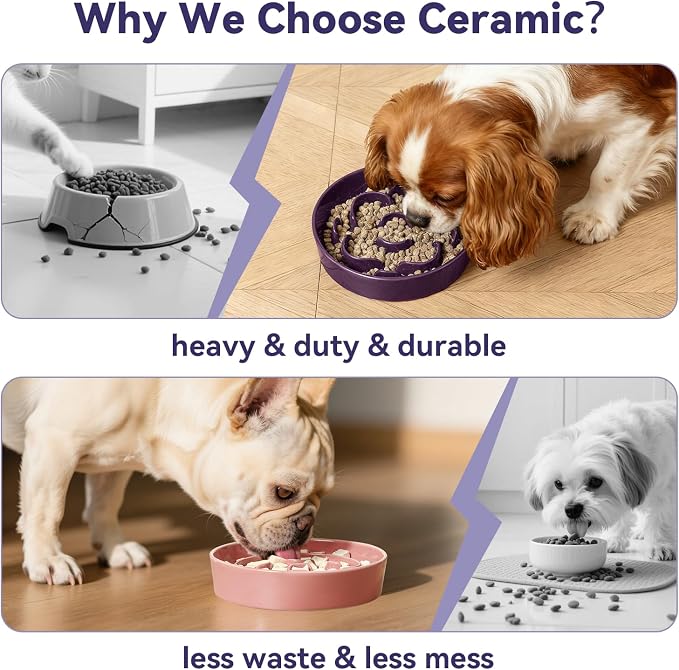 Ceramic Slow Feeder Dog Bowl - Feeding Dish for Fast Eaters - Maze Dog Bowl to Slow Down Eating - Ideal Food Control Dish for Small Breeds - 0.8 Cups (80g) - 6.3 Inch - White - Image 5