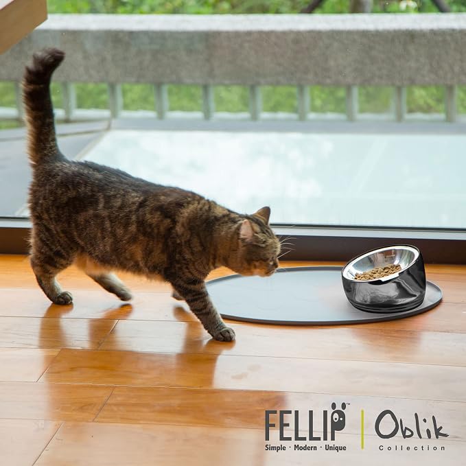 Felli Oblik Elevated Cat Bowl Removable Stainless Steel Wide Dish for Dry Wet Food Feeding & Dishwasher Clean, Slanted Whisker Fatigue Friendly Metal Plate (Smoky, 0.5 Cups Shallow Dish) - Image 7