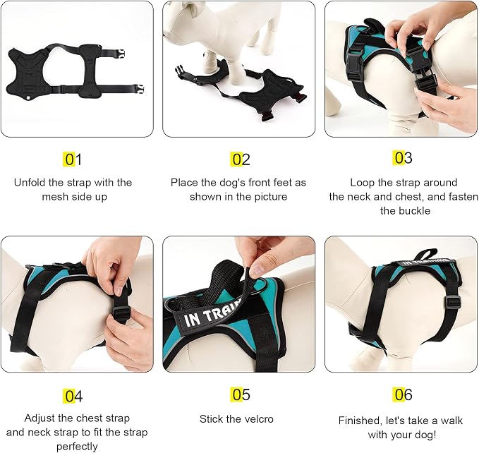 Dog Service Harness, Reflective, Adjustable, Durable, Large, Turquoise, Solid - Image 6