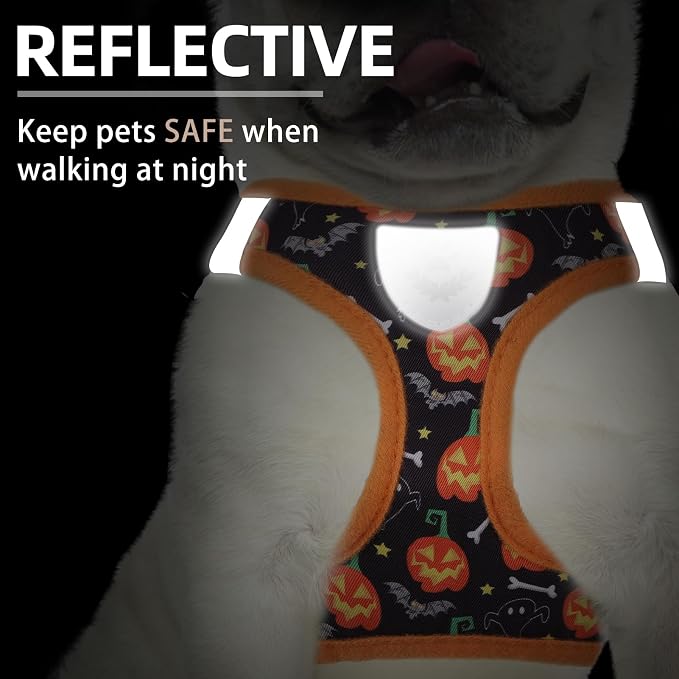PUPTECK Dog Harness, Collar and Leash Set No Pull for Small Medium Sized | Halloween Puppy Step-in Escape Proof Reflective No Choke Pet Cat Adjustable Walking Vest - Image 5