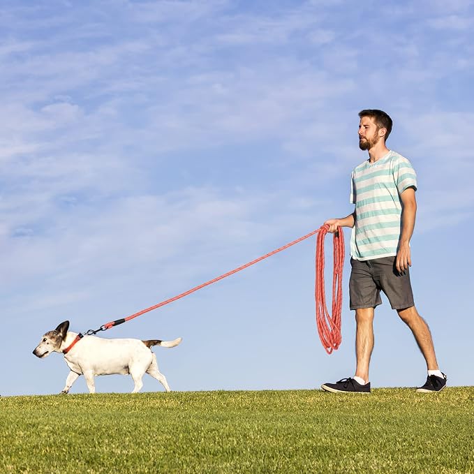 Long Dog Leash for Training 20Ft-Reflective Nylon Rope with Swivel Hook-Recall Agility Lead for Large Small Medium Dogs Outside Walking Hiking-Orange - Image 6