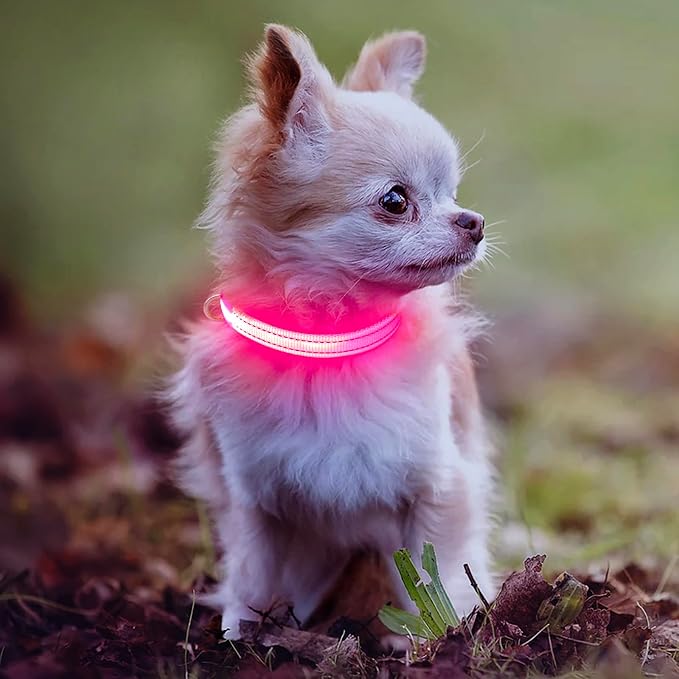 Light Up Collar for Small Dogs& Cats, Reflective LED Dog Collar Rechargeable Puppy Safety Lights for Nighttime Walking (Pink) - Image 6