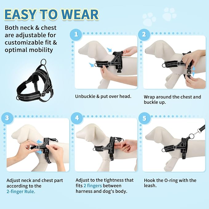 SlowTon No Pull Small Dog Harness and Leash Set with Front Clip | Soft Padded, Neck & Chest Adjustable, Lightweight, Anti-Twist, Puppy Vest Harness Pet Lead Combo for Small Medium Dog, B, XS - Image 9