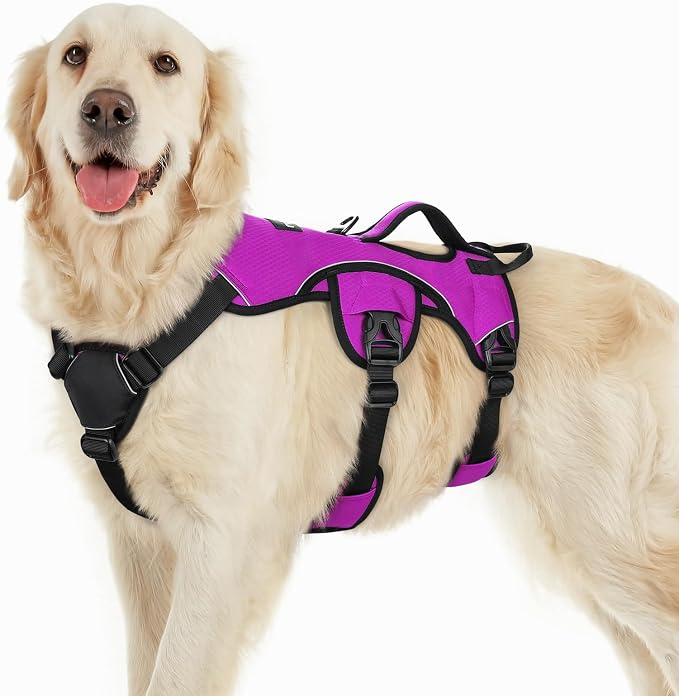 rabbitgoo Escape Proof Dog Harness for Large, No Pull with Lift Handle | No Escape, Full Soft Padded, Reflective Adjustable Vest, Leash Clip for Walking Hiking Training, Purple, Large by rabbitgoo