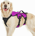 rabbitgoo Escape Proof Dog Harness for Large, No Pull with Lift Handle | No Escape, Full Soft Padded, Reflective Adjustable Vest, Leash Clip for Walking Hiking Training, Purple, Large by rabbitgoo