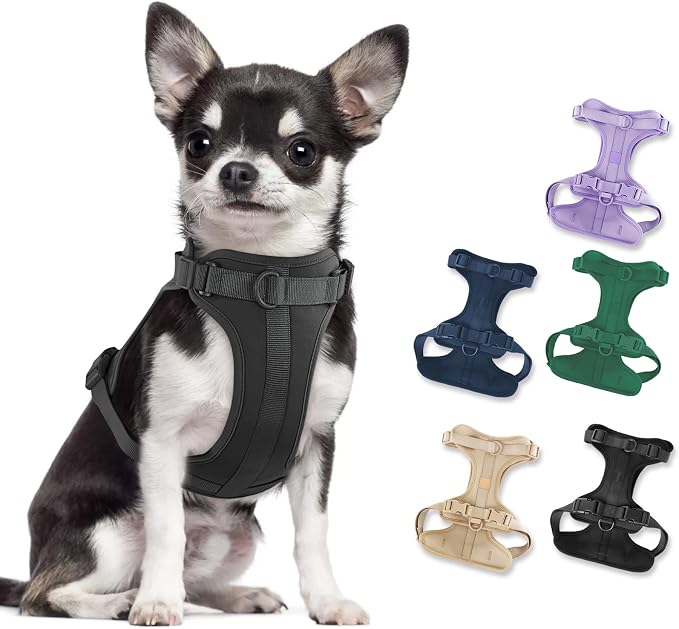 Wisedog Lightweight No Pull Dog Harness, Black, X-Small | Air Mesh, 3 Clips, Adjustable, No Choke Design, Ideal for Walking Training by WisedogPetSupplies