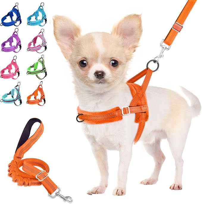 Lukovee Small Dog Harness and Leash Set, No Pull Soft Padded Vest | Both Neck & Chest Adjustable, Reflective, Puppy Harness with 4ft Lightweight Anti-Twist Dog Leash for Small Dogs (Orange,XXS) by Lukovee
