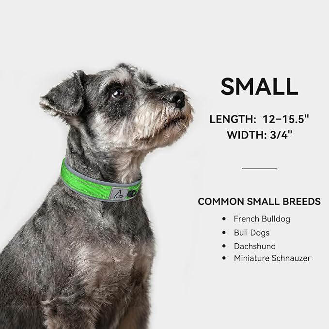 Joytale Reflective Dog Collar for Small Dogs with Wide Padding, Green | Soft Cushion Reduce Neck Strain, Night Safety Walking, Metal Buckle and Adjustable Eyelets, Separated Dog ID Tag Ring - Image 5