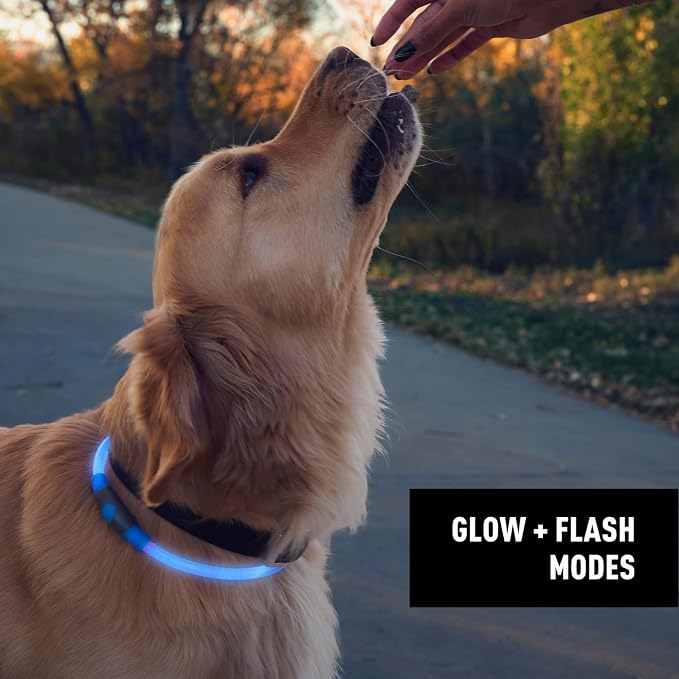 Nite Ize NiteHowl Rechargeable LED Safety Necklace - Dog Light for Dog-Walking Gear - Weather-Resistant Design - 5 Hours Runtime - Cut to Fit from 12” to 27” - Blue - Image 5
