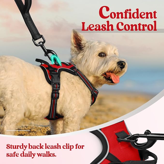rabbitgoo Dog Harness, No Pull for Small Dogs with 2 Leash Clips, Pet Vest | No Choke, Adjustable, Breathable Padded, 2 Lead Rings, Reflective, Easy Control for Walking Training, XS, Red - Image 6