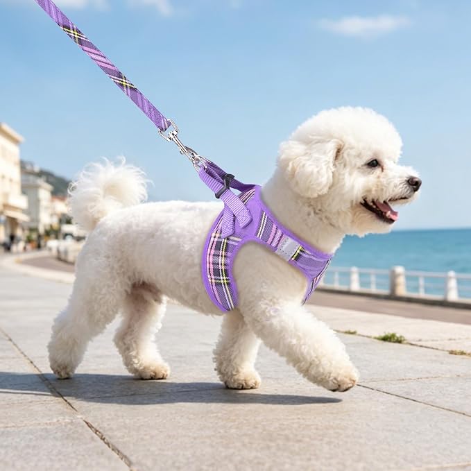 PUPTECK Dog Harness, Collar and Leash Set No Pull for Small Medium Sized | Plaid Puppy Step-in Escape Proof Reflective No Choke Pet Cat Adjustable Walking Vest - Image 9