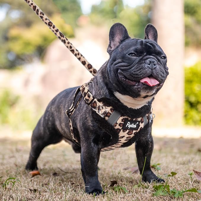 PUPTECK Dog Harness and Leash Set Small Sized, Step in No Pull Adjustable Puppy Cat Harness Reflective Pet Vest - Image 5