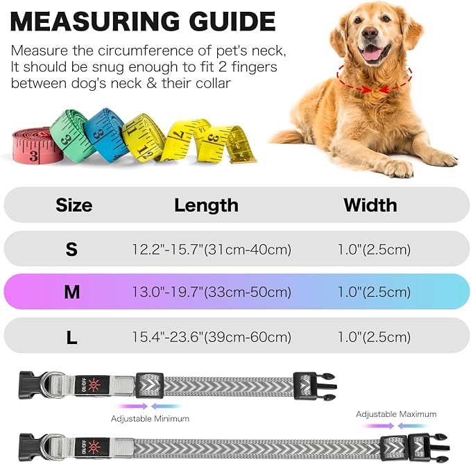 Light up Dog Collar, Multicolor LED Dog Collar Type-C Rechargeable, High Visibility Rainbow Gradient Glow & 7 Light Modes, Adjustable Waterproof Dog Safety Collar for Night Walking (Small) - Image 7