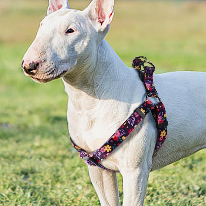 Dog Harness Leash Set Adjustable Heavy Duty No Pull Halter Harnesses for Small Medium Large Breed Dogs Back Clip Anti-Twist Perfect for Walking - Image 2