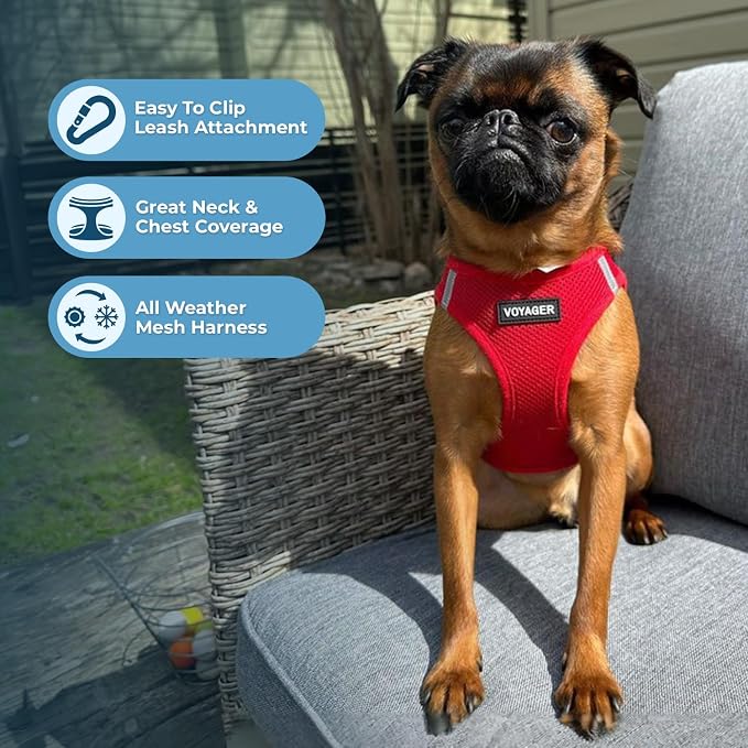 Best Pet Supplies Voyager Step-in Air All Weather Mesh Harness and Reflective Dog 5ft Leash Combo with Neoprene Handle, for Small, Medium and Large Breed Puppies - Red, Medium - Image 5
