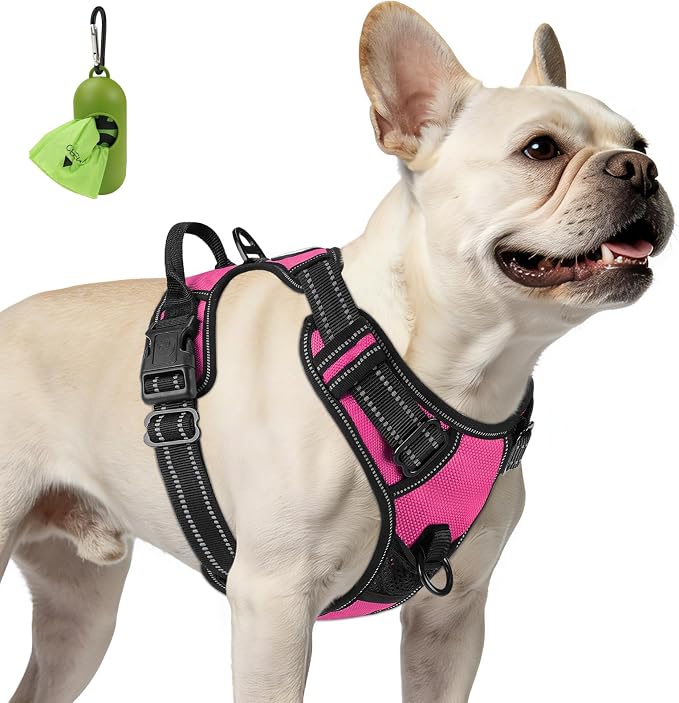 Joytale No Pull Dog Harness for Small Dogs, Front Clip, Hot Pink | Grab Handle for Instant Control, Padded & Adjustable Vest, Sturdy Metal D-Rings, for Safe Training & Daily Walking by Joytale