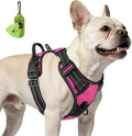 Joytale No Pull Dog Harness for Small Dogs, Front Clip, Hot Pink | Grab Handle for Instant Control, Padded & Adjustable Vest, Sturdy Metal D-Rings, for Safe Training & Daily Walking by Joytale