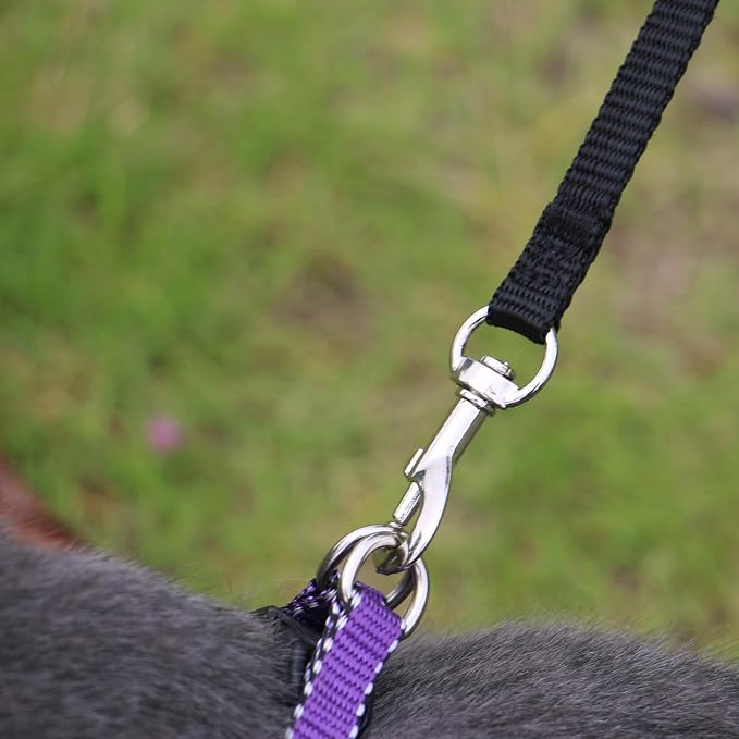 AMAGOOD 6 FT Cat Leash, Strong and Durable Traditional Style Leash with Easy to Use Collar Hook,Cat Lead Great for Cats (3/8 in x 6 ft,Black and Orange(2-Pack)) - Image 4