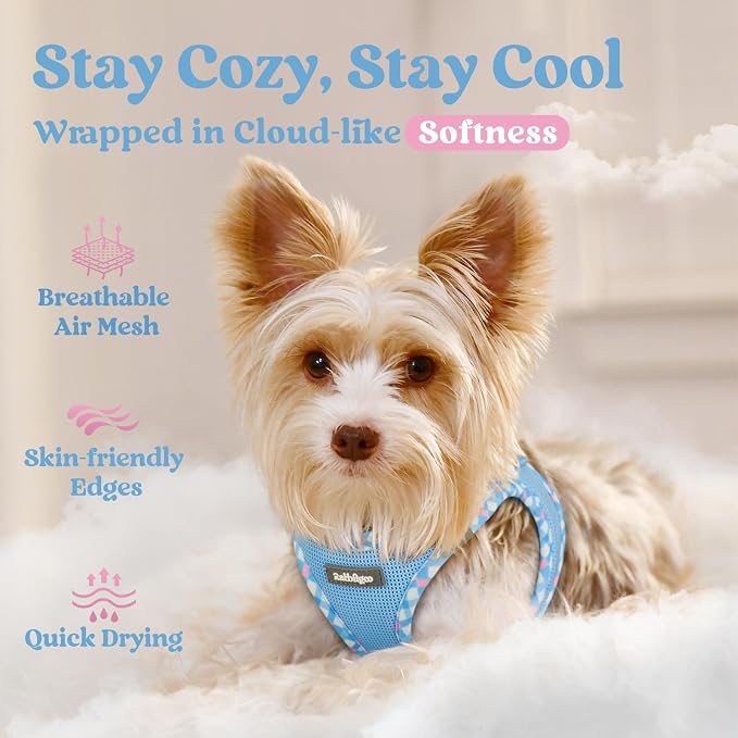 rabbitgoo Step-in Small Dog Harness, Puppy Vest for Small Sized Pet | Easy Put on and off, Lightweight, Soft, Breathable Quick-Dry Air Mesh for Comfortable Secure Walking, Blue & Plaid Trim S - Image 3