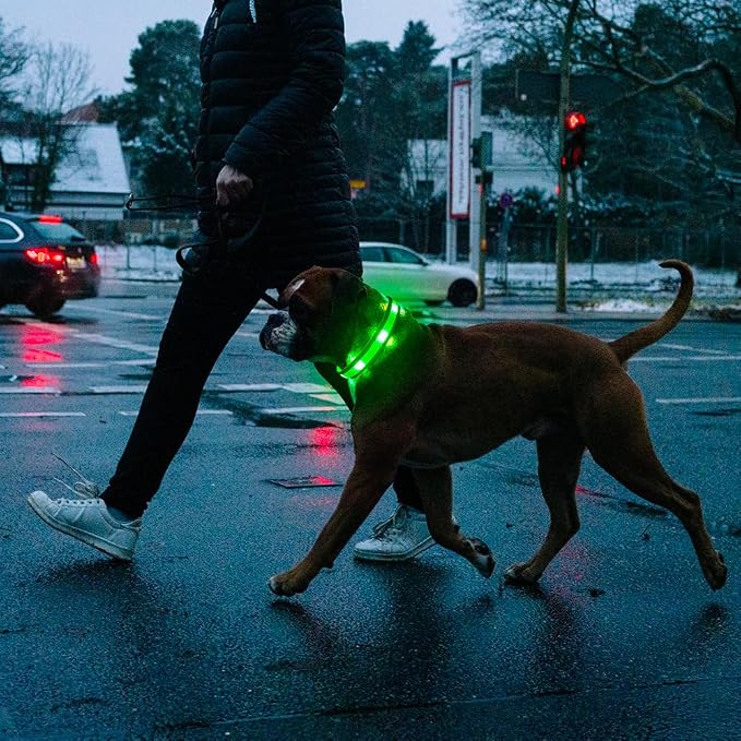 Illumifun Light Up Dog Collar - USB Rechargeable LED Dog Collar Glow in the Dark - High Visibility Glow Collar for Night Walking (Small, Fluorescent Green) - Image 8