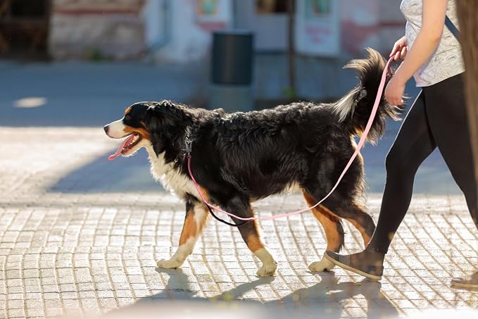 Twoear 5FT 1IN Heavy Duty Dog Leash for Large Dogs with 2 Padded Handles | Traffic Handle Extra Control, Auto Lock Hook, Strong Reflective Walking Leash for Night Safety, Medium and Large Breeds,Pink - Image 8