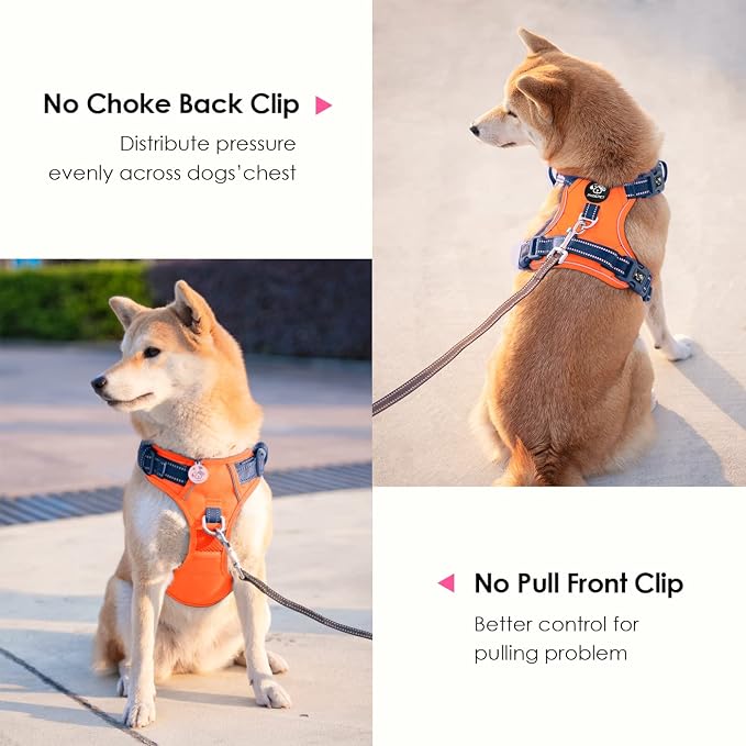 No Pull Dog Harness, Unique Colors Reflective Adjustable Dog Vest | with Soft Training Handle Metal Clips for Small Medium Large Dogs (Orange Base & Blue Straps,L) - Image 4